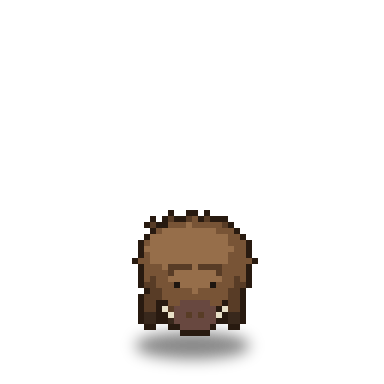 Boar